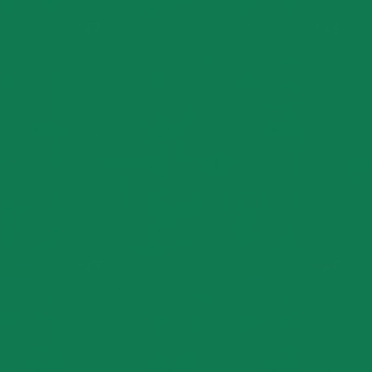 Folia flex zielona - pantone 3415C - 1 metr bieżący