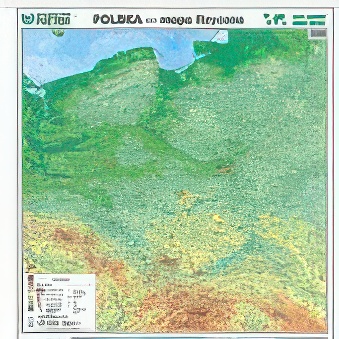 POLSKA - mapa fizyczna 140 x 140 cm