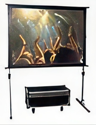 Projection screen FOLD 240 DUAL [243,8 x 182,9cm]