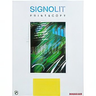 Folia przezroczysta, błyszcząca - Signolit SC 42