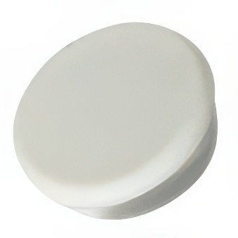 Circle magnets, withe (diameter 20 mm)