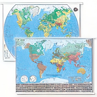 WORLD - two-sided map physical and political 43 x 62 cm