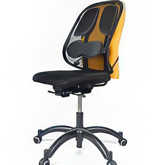 Professional Mesh Back Support