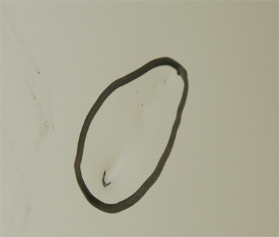 32812_01.jpg