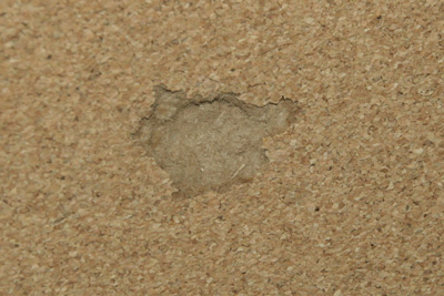 35932_3.jpg