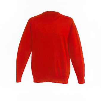 Bluza dziecięca do nadruku Kolor: czerwony Rozmiar: 134 cm