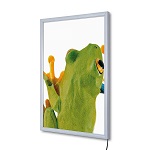 LED Economy Snap frame