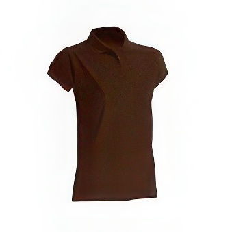 T-shirt Polo standard damski Kolor: brązowy Rozmiar: 2XL