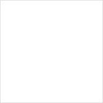 Folia Flex Hotmark Revolution