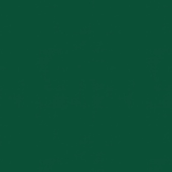Folia samoprzylepna, monomeryczna, kolor - zielono-leśny, matowa do ploterów tnących ORACAL 641-613, 0,5 x 1 m