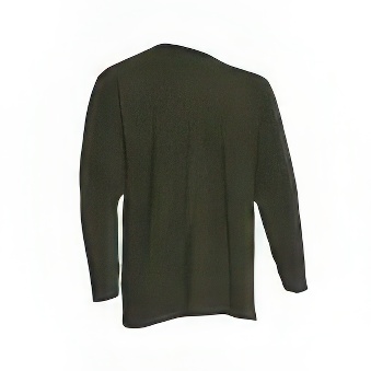 Koszulka Longsleeve z długim rękawem do nadruku Kolor: khaki Rozmiar: 3XL