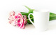 WALENTYNKOWE BESTSELLERY