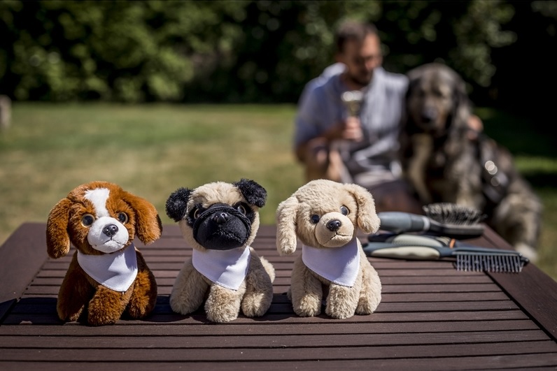 Teddy dog with a white scarf for sublimation