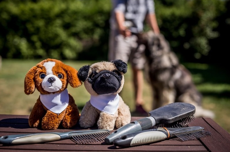 Teddy dog with a white scarf for sublimation