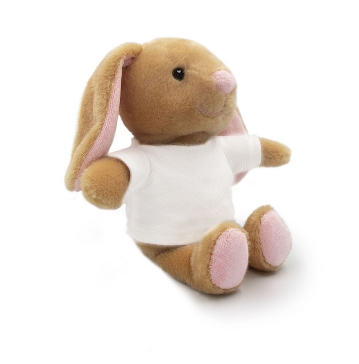 Teddy rabbit with a white T-shirt for sublimation