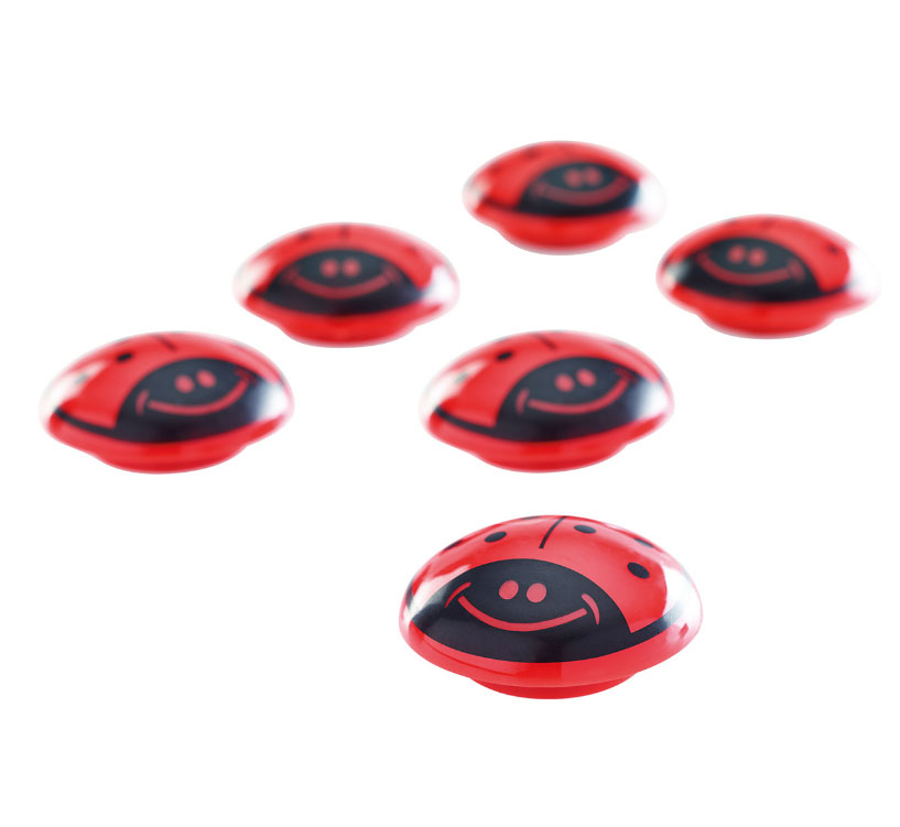 Spherical magnets - ladybugs