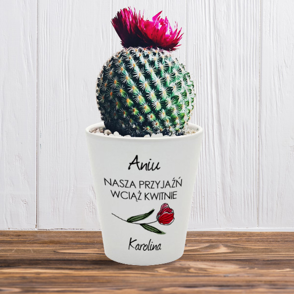 Plant pot for sublimation