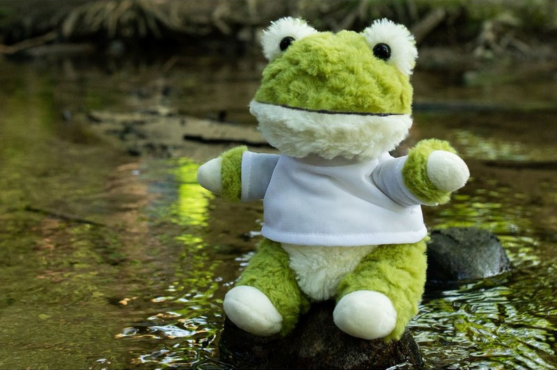 Pluszowa żaba z białą koszulką do sublimacji