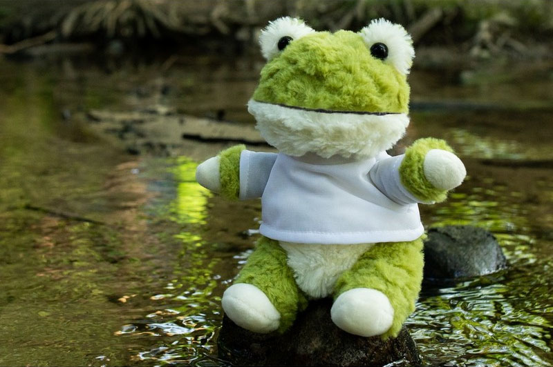 Teddy frog with a white T-shirt for sublimation