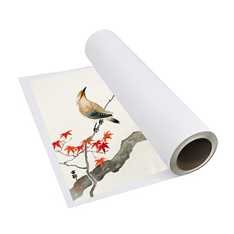 Folia transferowa do DTF Standard - rolka 30 cm x 100 m